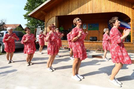 PRIREDITEV NA LEPI MENEŠIJI 23 FOTO LJUBO VUKELIČ